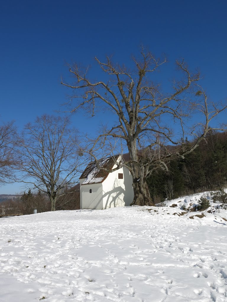 Reiterle im Winter by Lichtgestalt