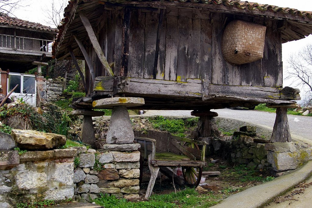 Dolia, Belmonte de Miranda, Asturias by Antonio Alba