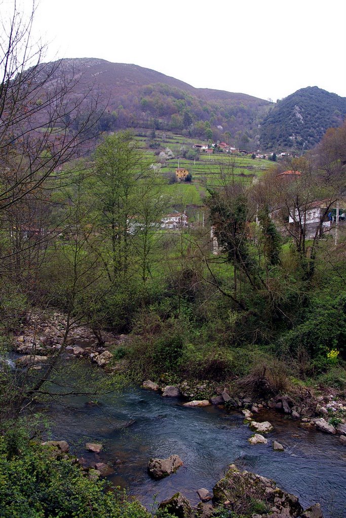 Rio Pigüeña, Corias de Abajo, Belmonte de Miranda, Asturias by Antonio Alba