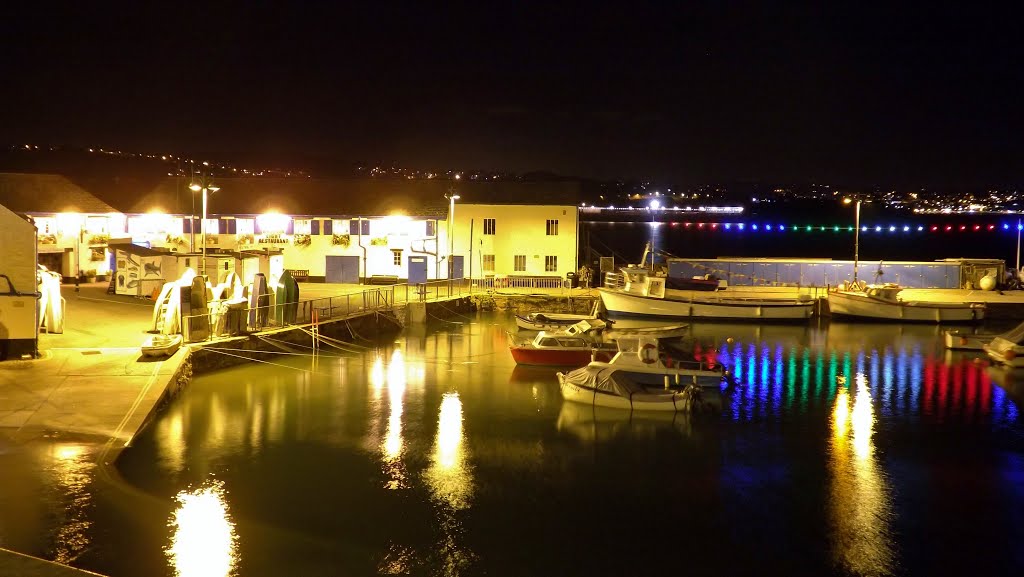 Paignton Harbour Buildings at Night by Elante