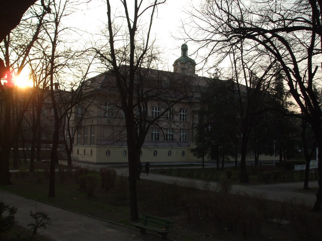 BASIC SCHOOL "SVETOZAR MILETIĆ" IN ZEMUN 1 by SRBIJA LOVES PANAMA