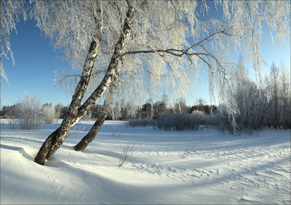 Третий лишний by Surickoff