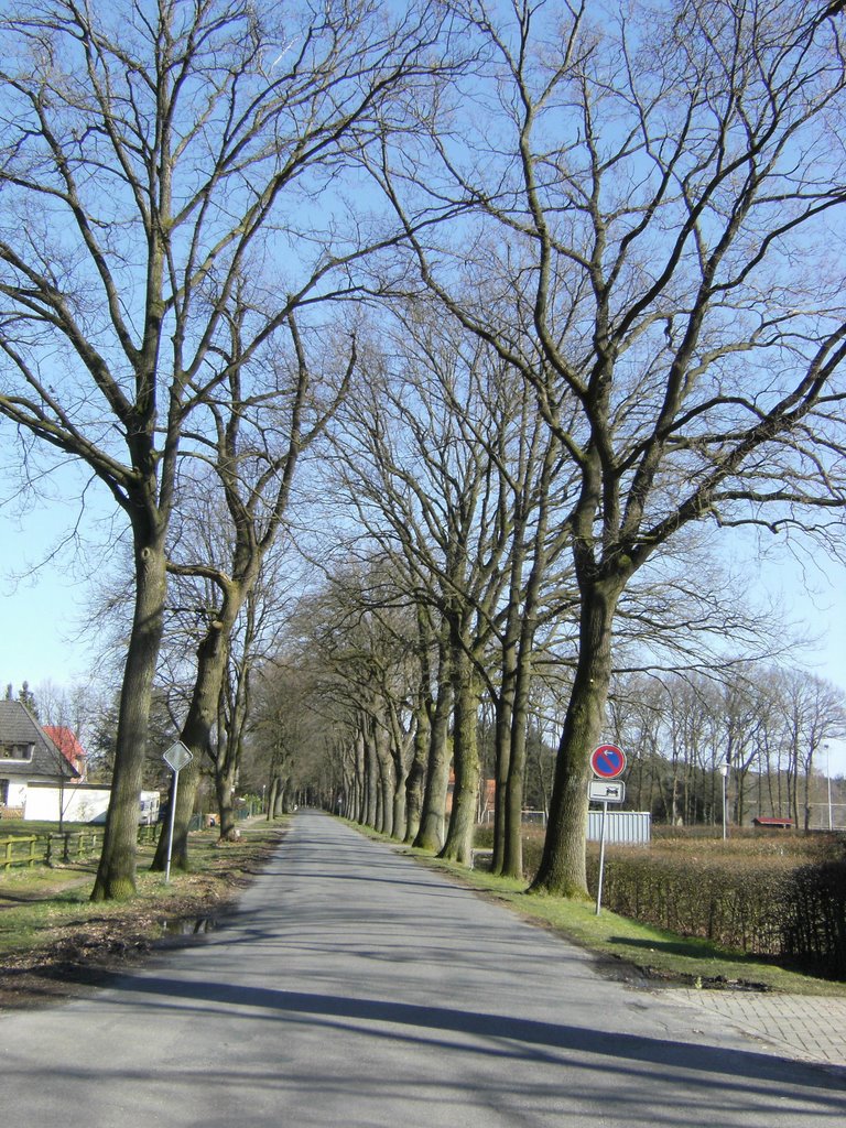 Blick in die Straße "Fuhrenkamp" by choclat