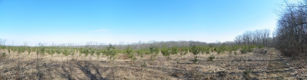 Hathaway Preserve, an ACRES Land Trust by MikeFromholt