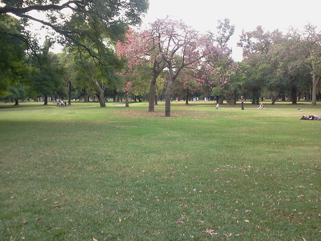 Plaza Sicilia. by Panza Verde