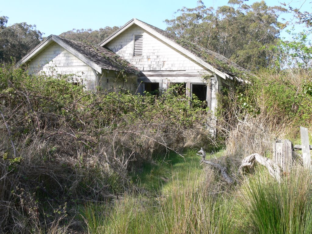 Forgotten House, Tomales by Oisin McGuigan