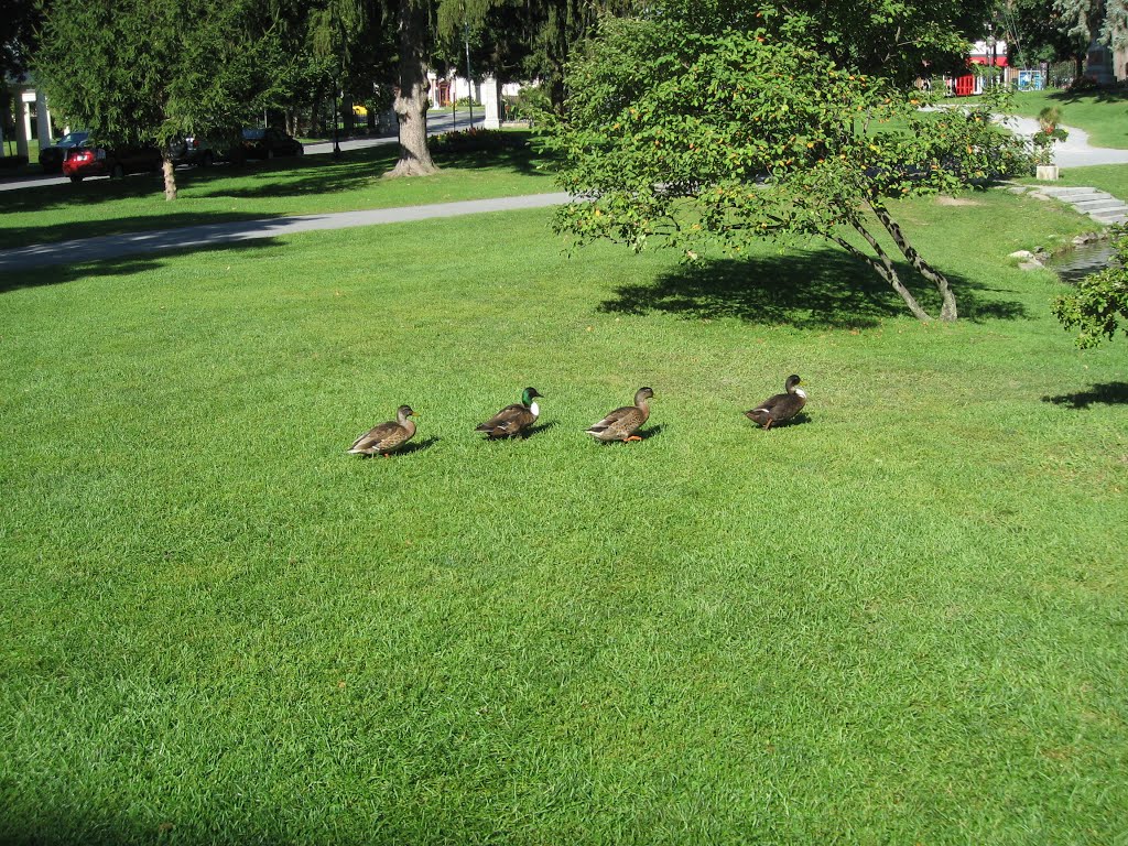 Saratoga Springs, NY by Bruce Ellerin