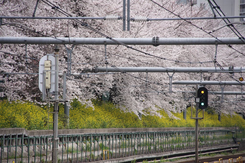 2013/03/24　AM11：36　東中野 by YOSHIKAWA