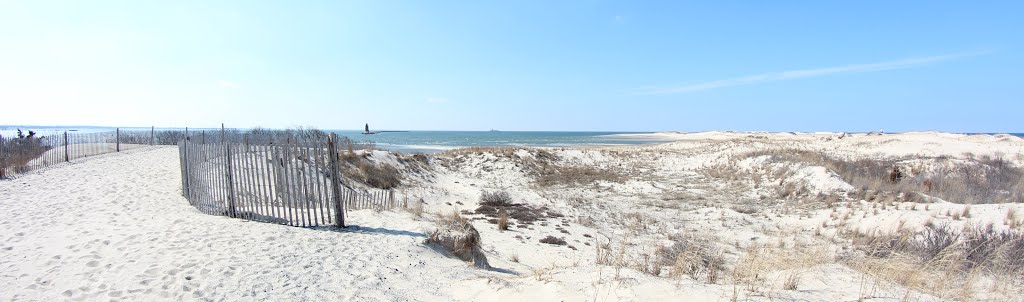 Cape Henlopen, Delaware State Park by gene.alderson