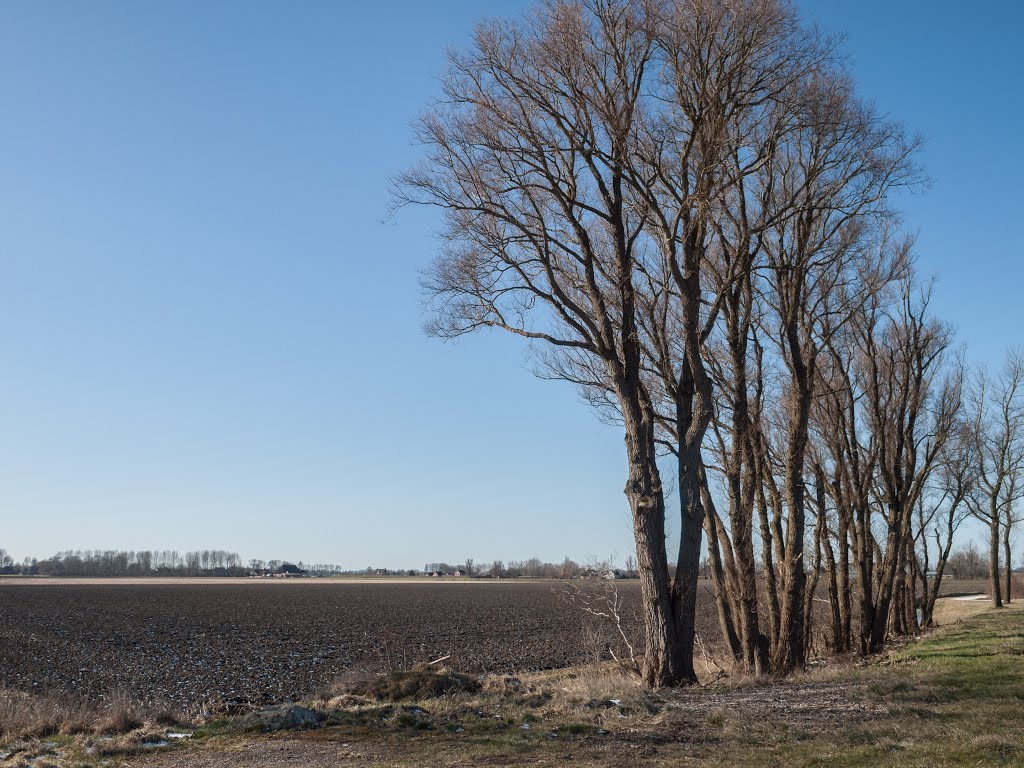 Engwierum. Netjes op een rij. (BB) by Bayke de Vries