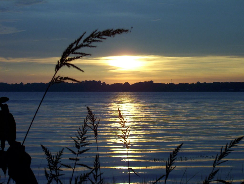 Mt. Dora Lake by Jetfella