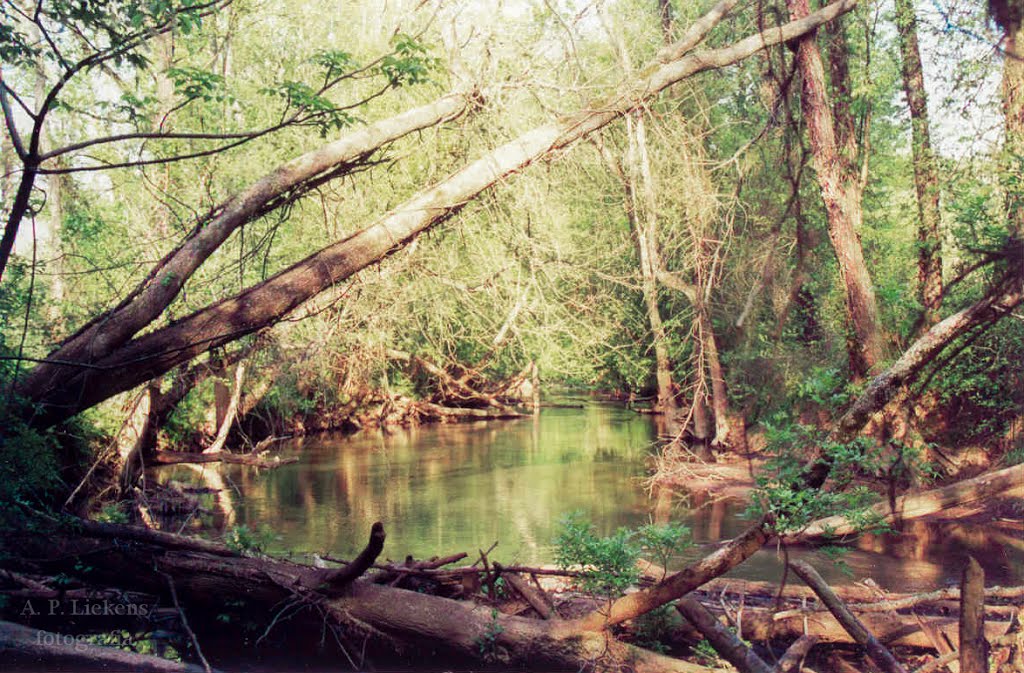 Vickery Creek by A. P. Liekens