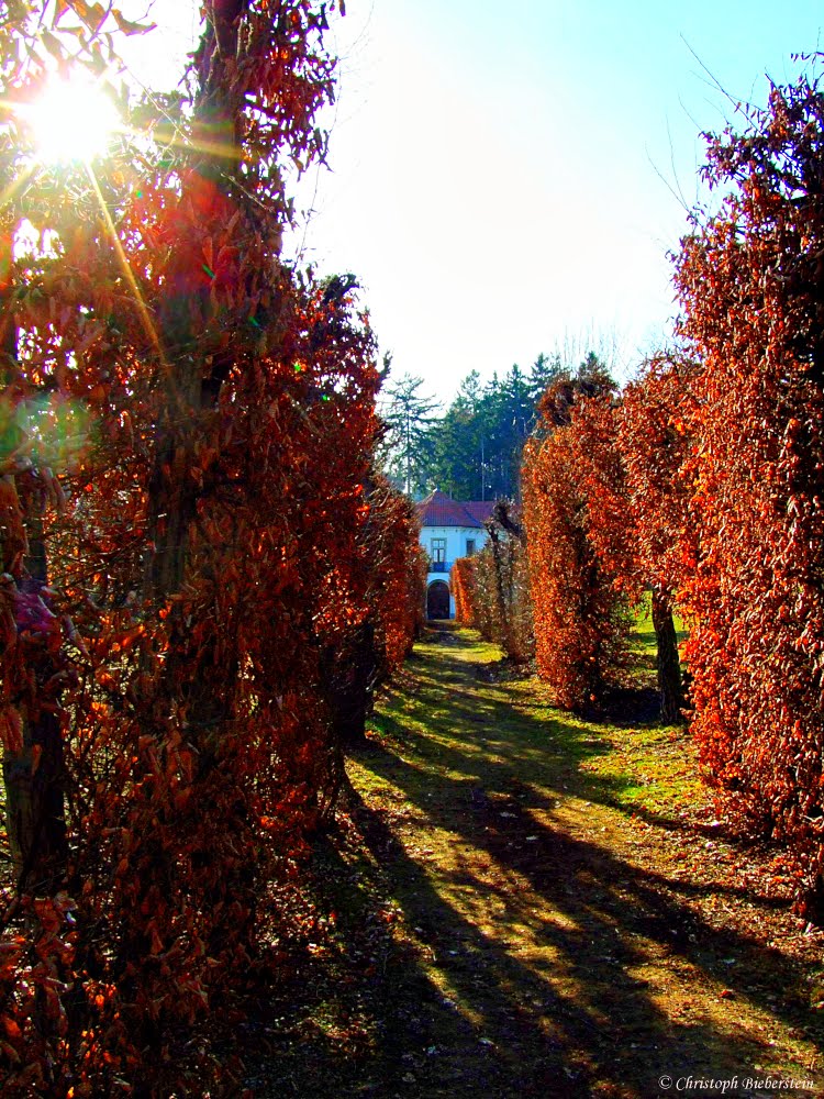 Klášter Břevnov (Kloster Breunau) - Klášterní zahrada (Klostergarten) by ChristophBieberstein