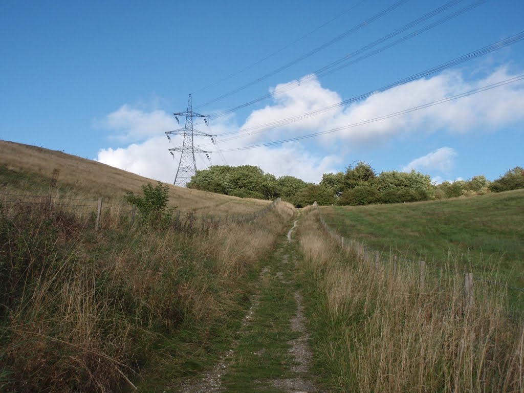 Looking North East away from Woodale Farm 2012 by DJS_EastYorks