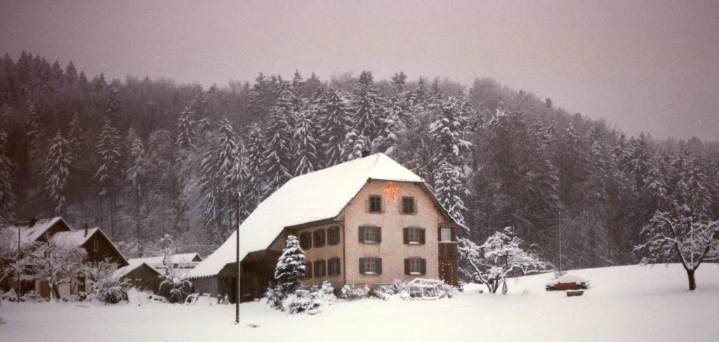 Safenwil, Switzerland with CJ Dec 95 by Jeff Hayes