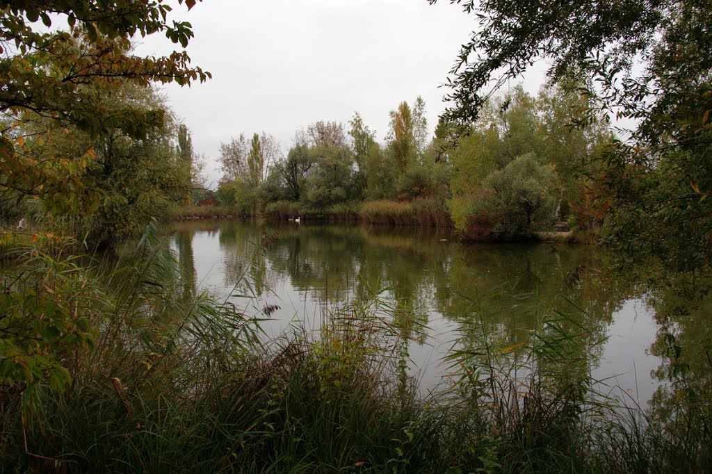 Park im Grünen by Golinski Janusch