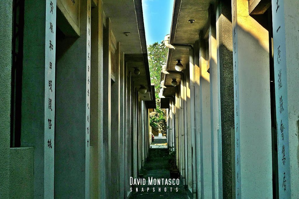 Chinese Cemetery Hallways 2013 by Montasco