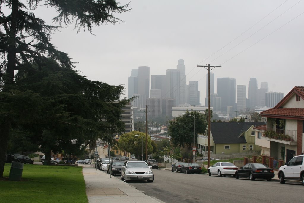 View of Downtown L A from a hill on everett Street by Yariv Araujo (Vincen…