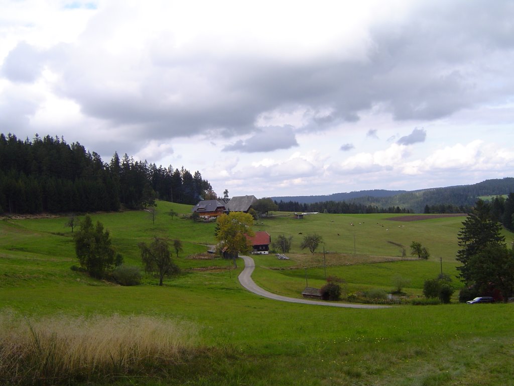 Hornberg, Germany by Ulrich Rosenfelder