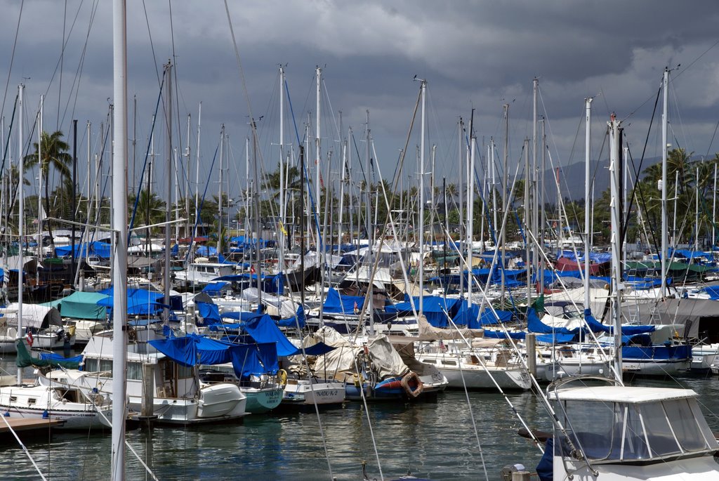 Hawaii Yacht Club by Dick Lau