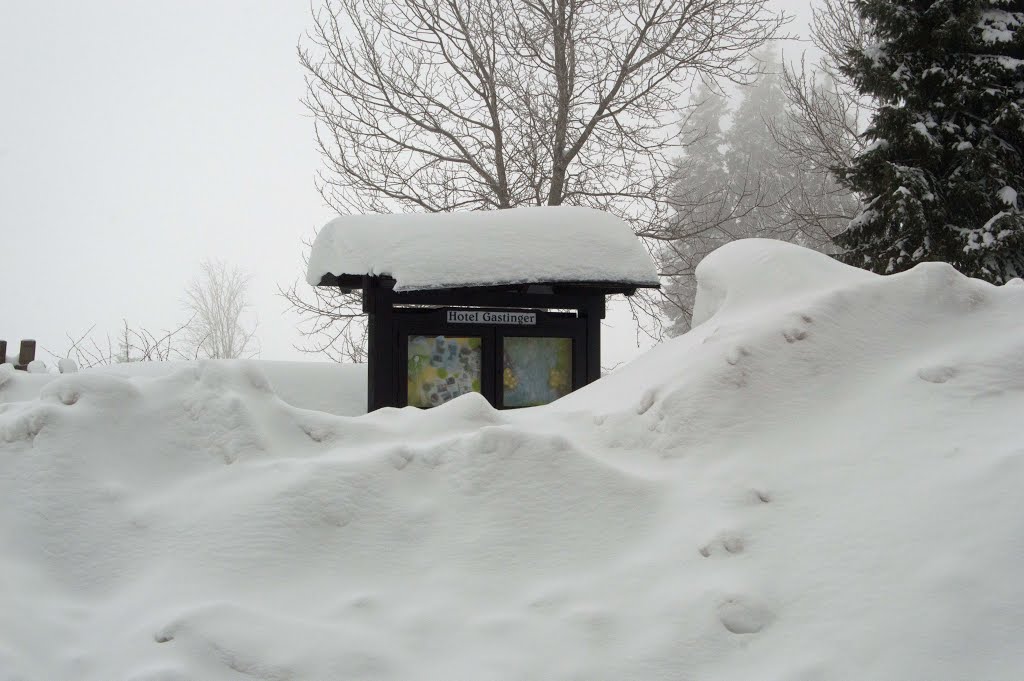 "Ski und Rodel gut am Rennsteig" by Michael Heyne