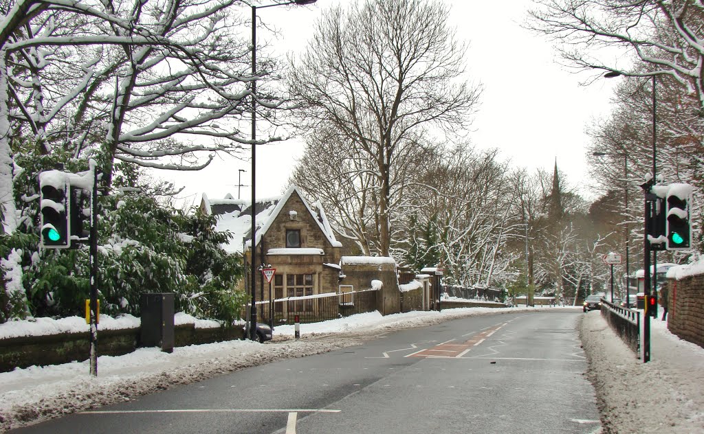 Crossing on a snowy Fulwood Road, Sheffield S10 by sixxsix