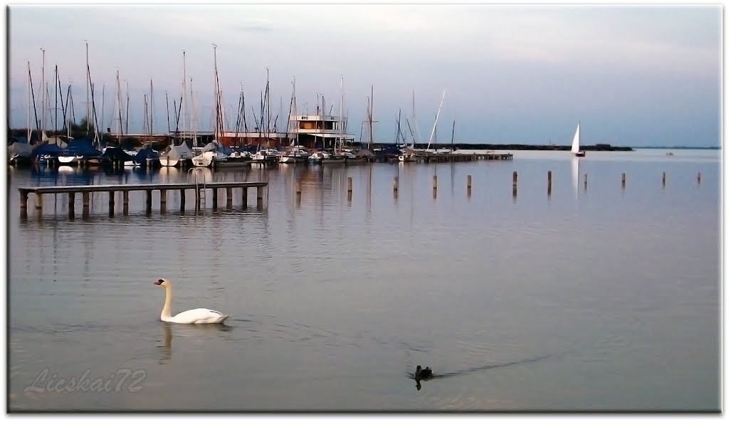 Fertő tavi móló. by Licskai72