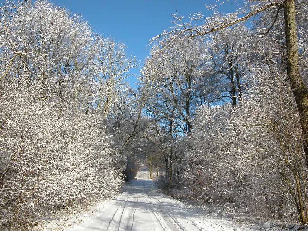 Entrance to winter wonderland, by Per Allan Nielsen by Per Allan Nielsen