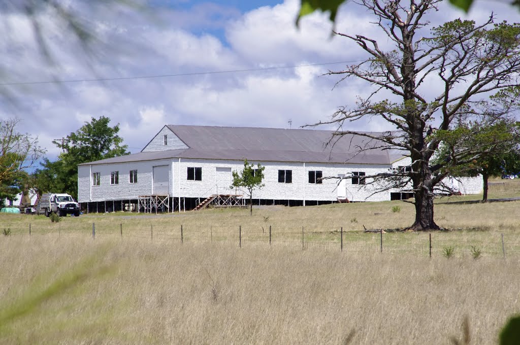 "South Raeburn" shearing shed by snucklepuff