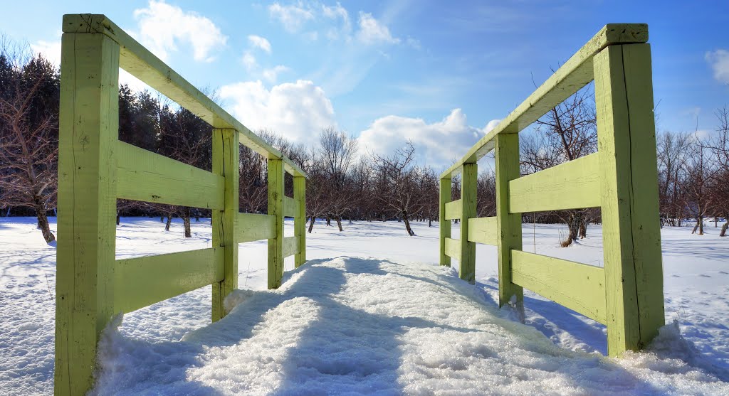 Ponceau sous une neige printanière by Vincent Rowell