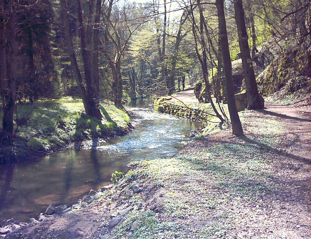 Köllerbach bei Völklingen2 by Klaus Roth