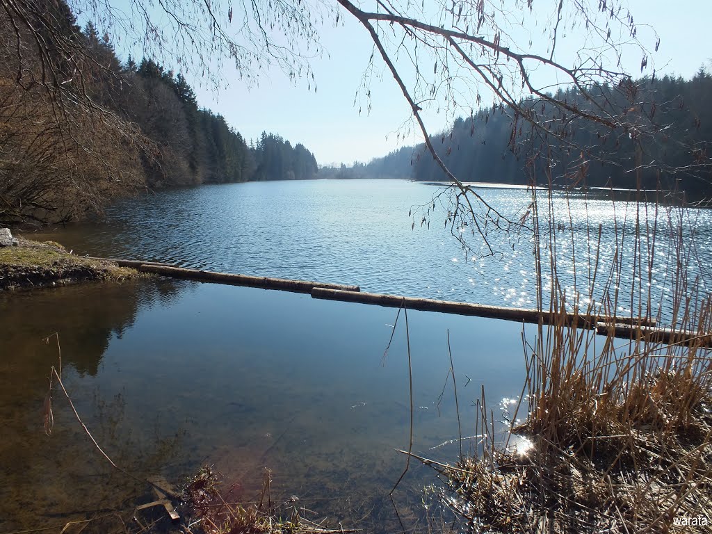 Gottrazhofen - Gemeinde Argenbühl > der Stausee (Speichersee) by warata