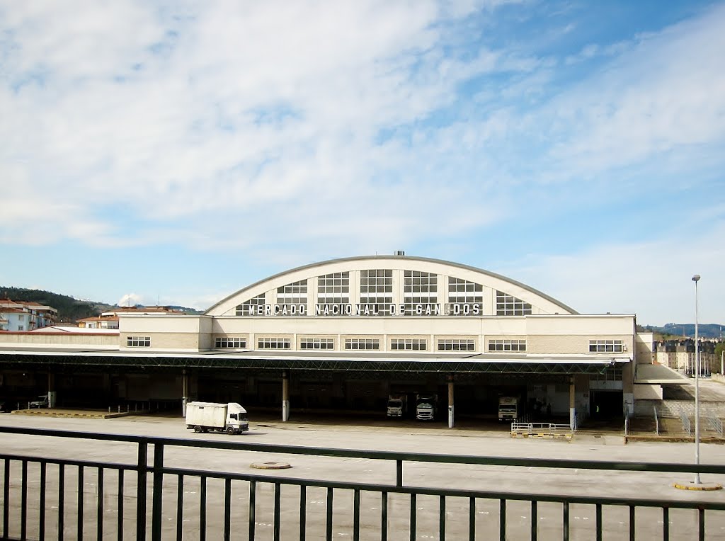 FACHADA ESTE DEL EMBLEMÁTICO MERCADO DE GANADOS TORRELAVEGA by SUAVIA/Miguel 3