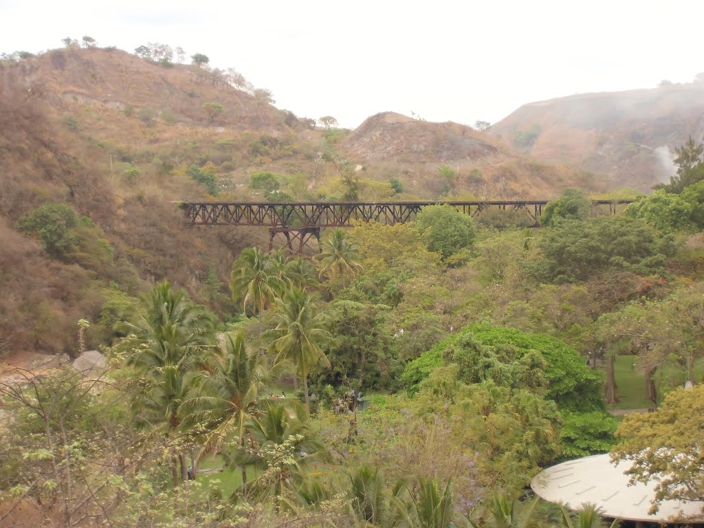 Puente del Ferrocarril Agua Caliente by Edinilson De Leòn