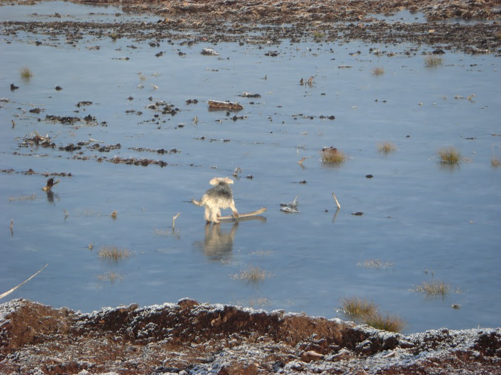 Eisfläche im Uchter Moor by orgwin.