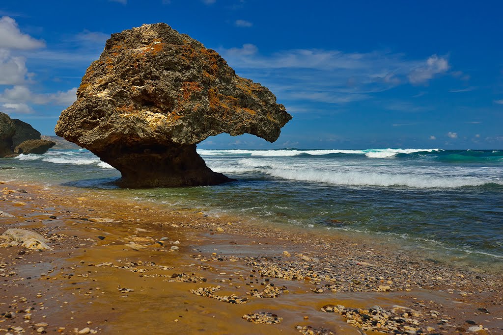 Bathsheba, Barbados by jiangliu