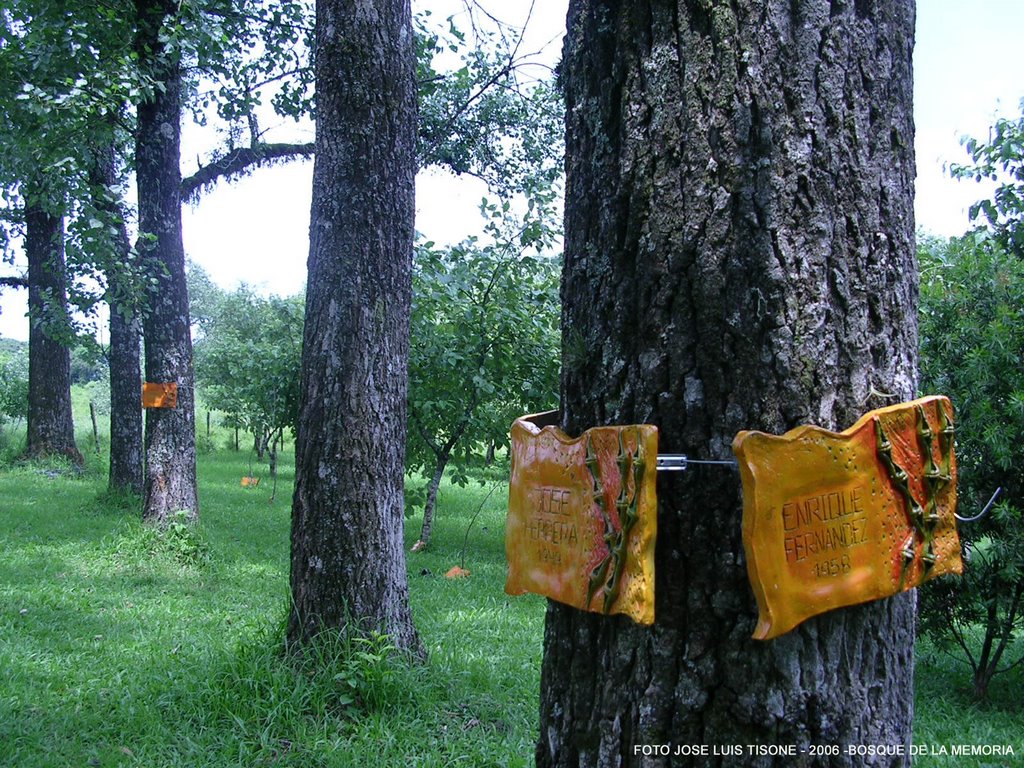 BOSQUE DE LA MEMORIA: HOMENAJE A LOS DESAPARECIDOS DEL GOBIERNO MILITAR. by Jose Luis Tisone