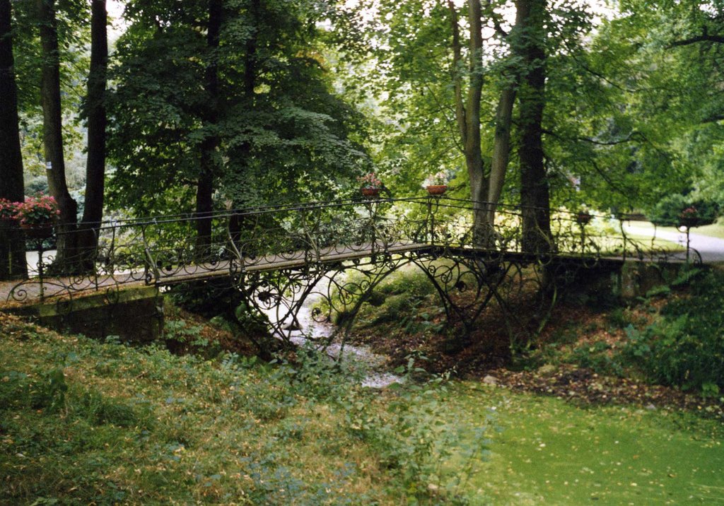 Friedhof Ohlsdorf 5 by Werner Menken