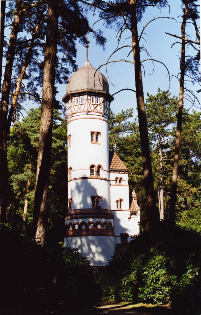 Friedhof Ohlsdorf 6 by Werner Menken