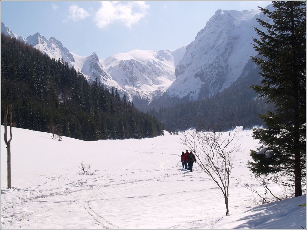 Giewont i Małołączniak by Janusz Gębka