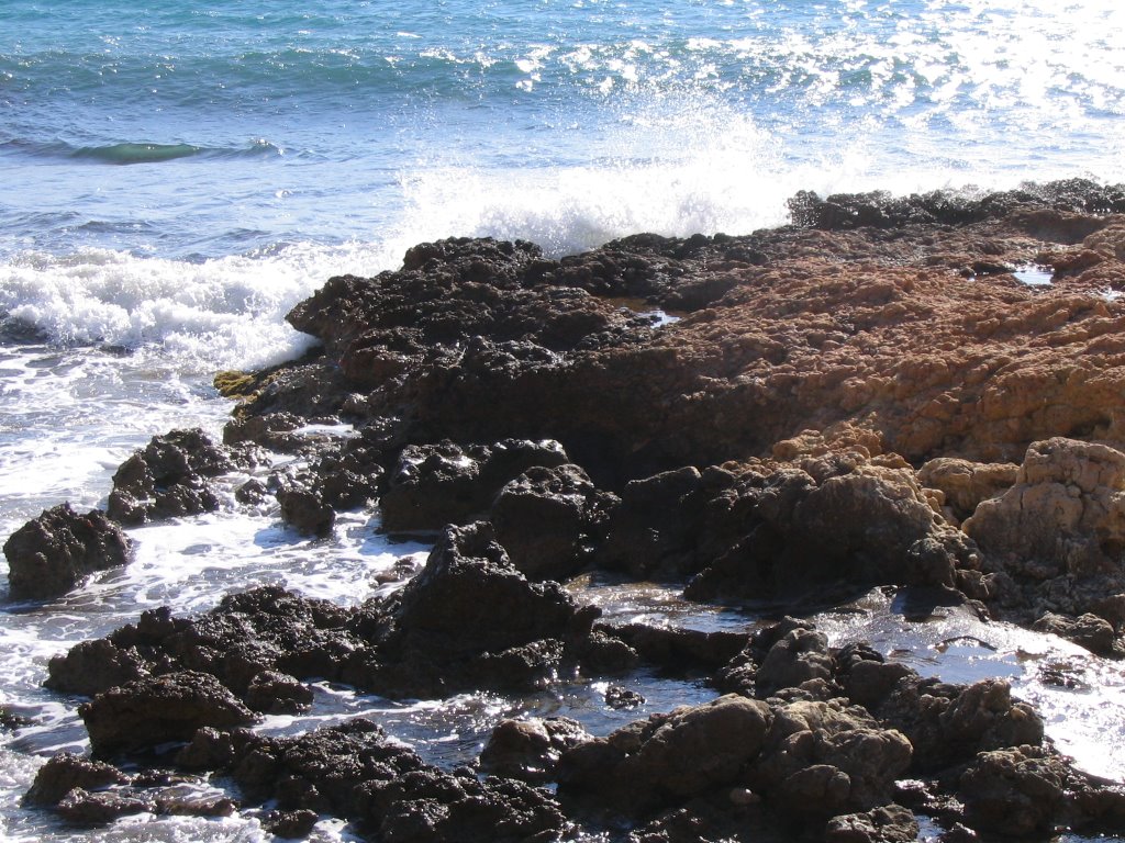 Les algues bleues ou cyanophycées donnent une coloration foncée aux rochers au bord de l’eau by Bernard Bost