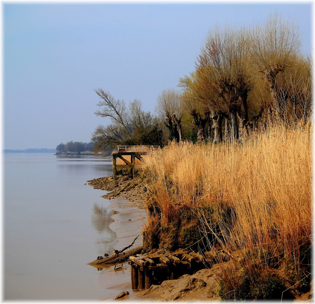 Bourg en Gironde - la Garonne by jimmyleva