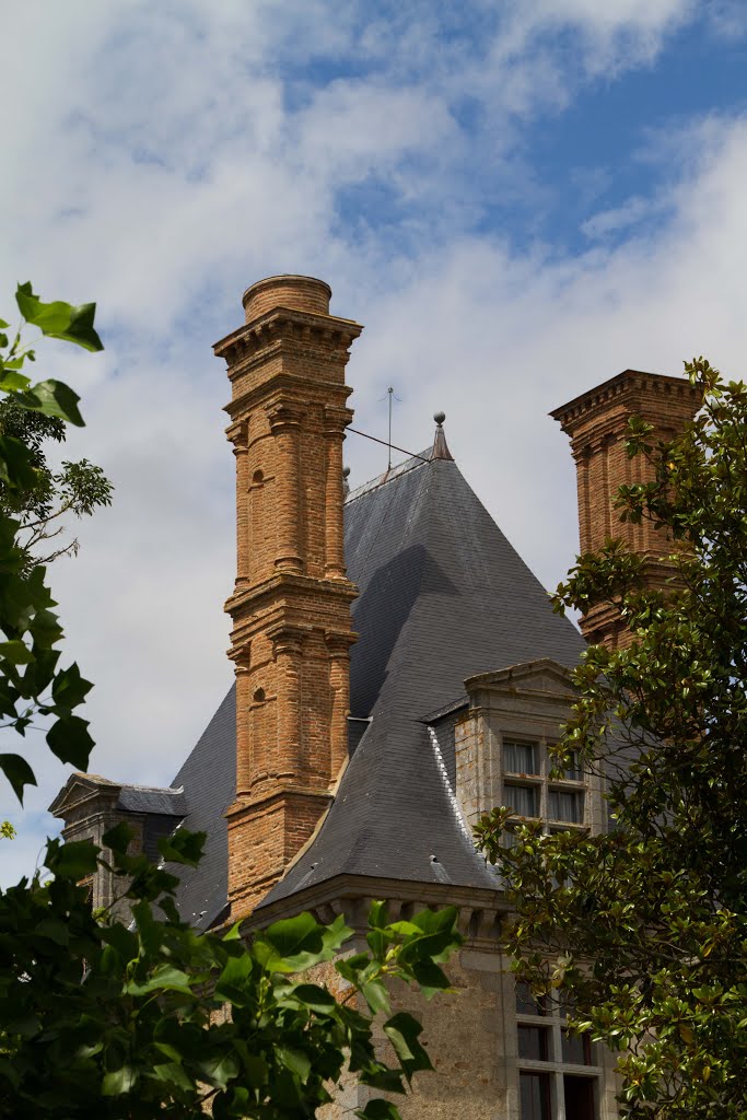 Avrillé - Château de la Guignardière : cheminées by Elymalijo