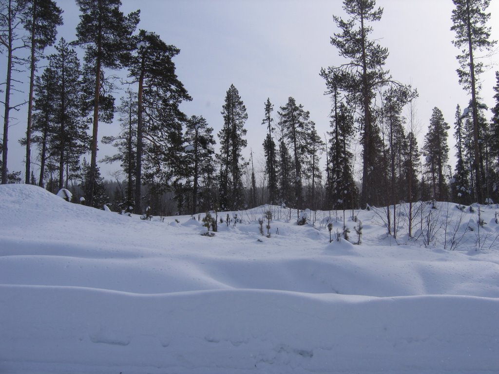 Winter at Vuolusjávrivägen by Gerrit Holl