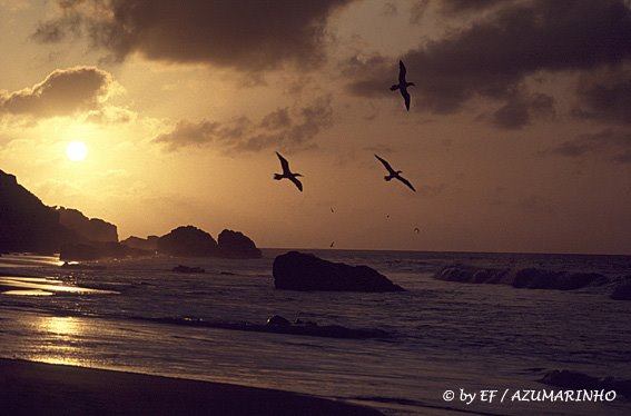 Fernando de Noronha - PE by Eliana Fernandes