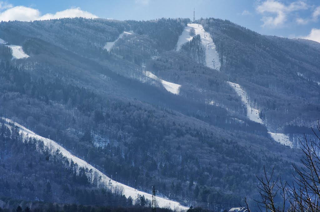 Pohorje in light snow by rlubej