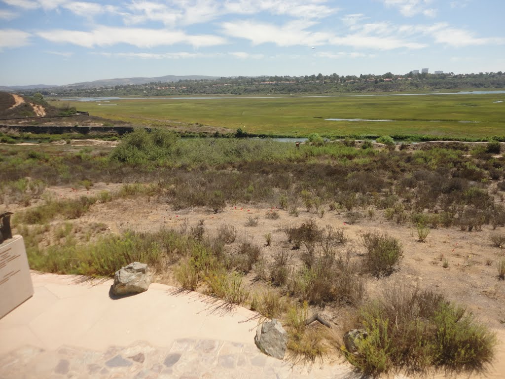 Upper Newport Bay Nature Preserve by Gregory Dyer