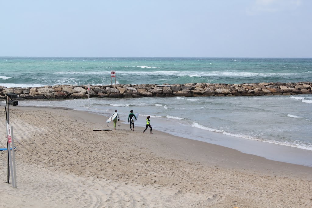 Kiters walking on Tel Aviv beach, March. תל אביב יפו, ישראל by Genet