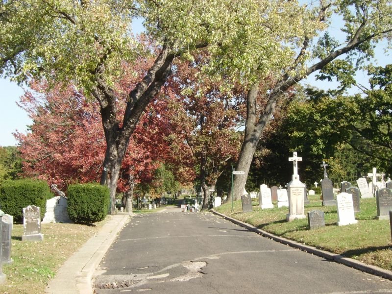 Evergreen Cemetery by Filippo Mazzoccu