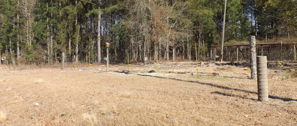 Goats-Pumkin with firemans hat on it and a wierd pipe in the ground---st by SteveTysinger